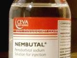 Satılık En İyi Kalite Nembutal Pentobarbital